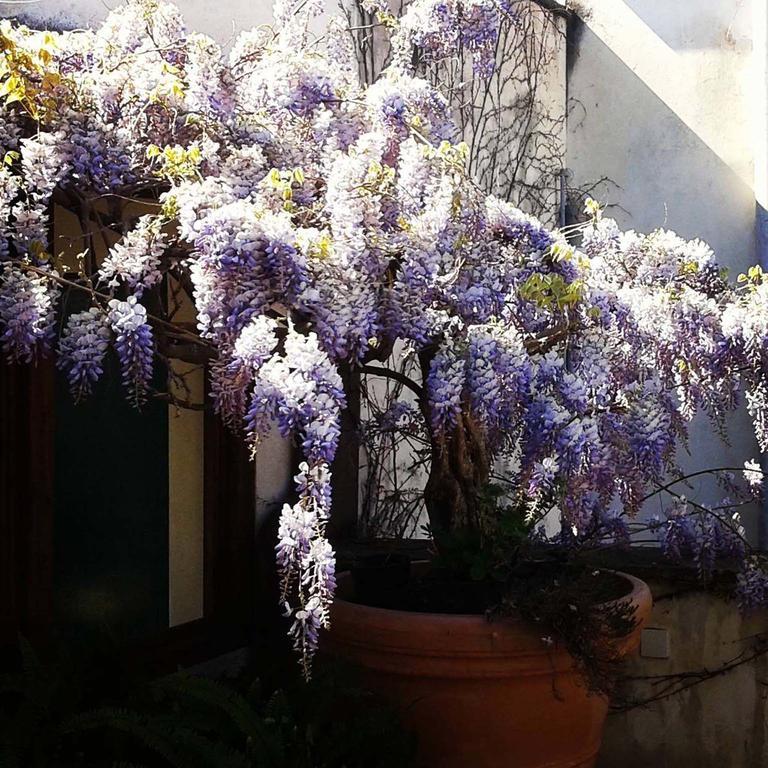 B&B Le Terrazze Bisceglie Zewnętrze zdjęcie