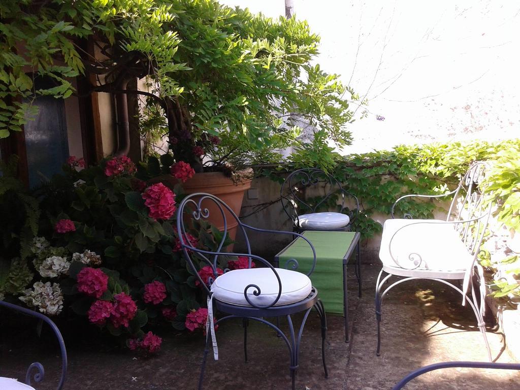 B&B Le Terrazze Bisceglie Zewnętrze zdjęcie