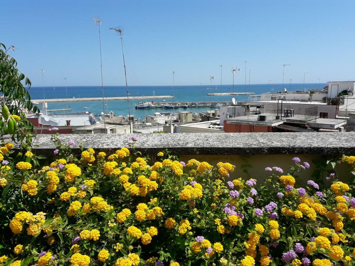 B&B Le Terrazze Bisceglie Zewnętrze zdjęcie