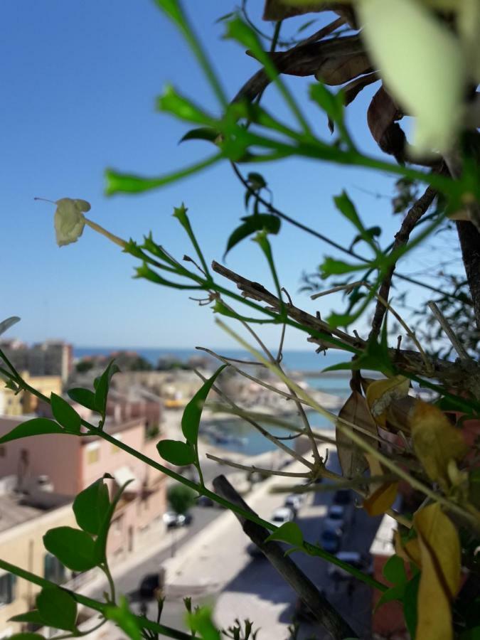 B&B Le Terrazze Bisceglie Zewnętrze zdjęcie